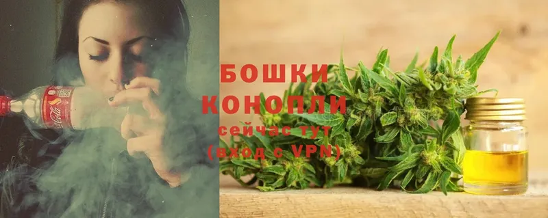 Бошки марихуана семена  где продают   Кирово-Чепецк 